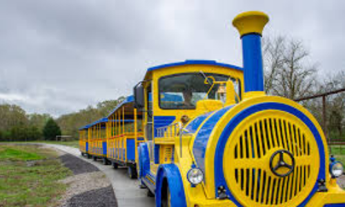 Things to do- train photo