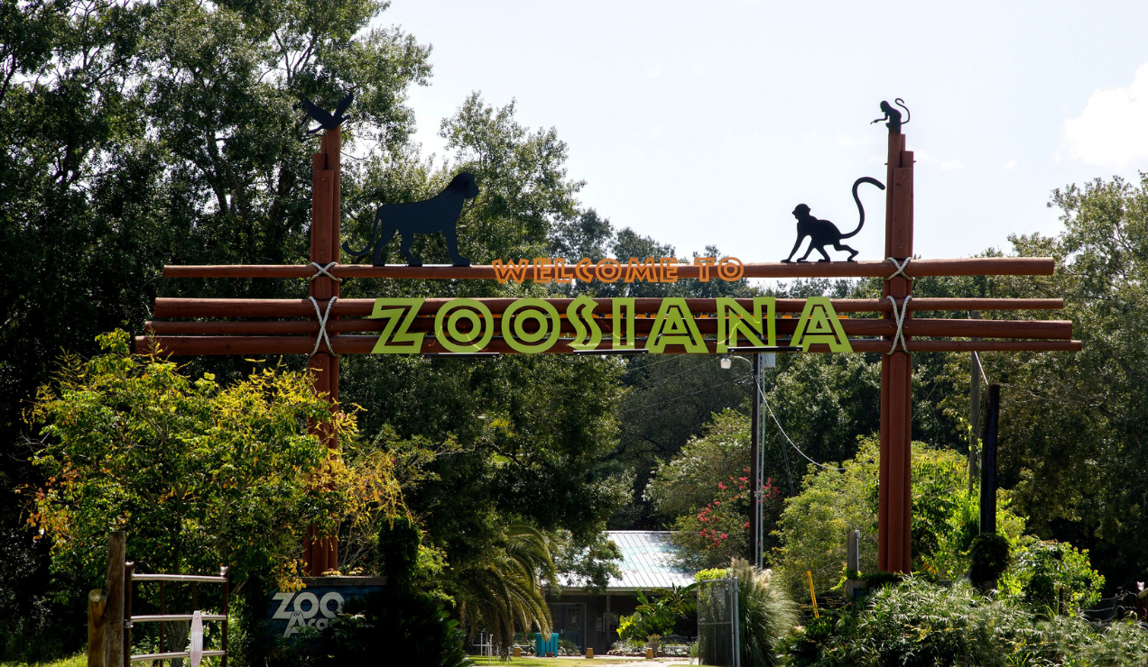 Zoosiana: Zoo of Acadiana Image 2