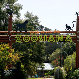 Zoosiana: Zoo of Acadiana Image 2