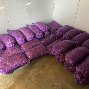 Buck's Crawfish Co. Image 3