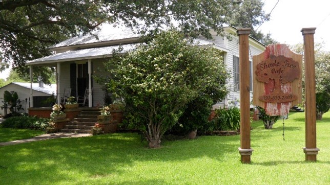 Shade Tree Café Image 2