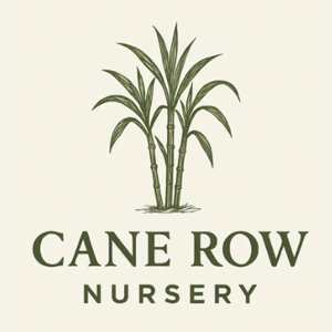 Cane Row Nursery and Landscaping Image 2